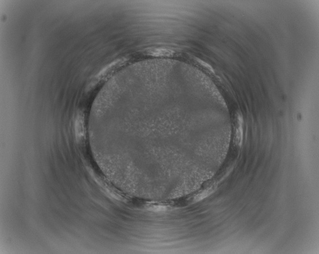 X0000080810620200701051152