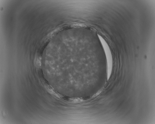 X0000080810621200701051152