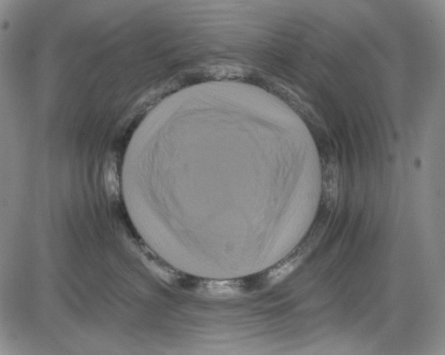 X0000080810622200701051152