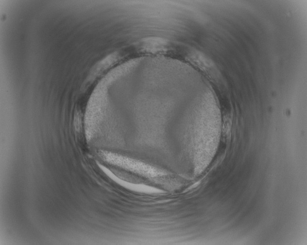 X0000080810623200701051151