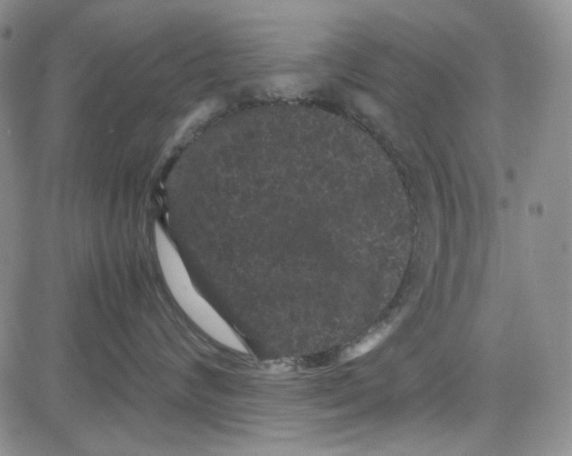 X0000080810624200701051151