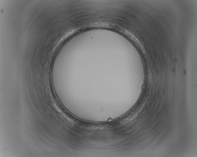 X0000080810625200701051151