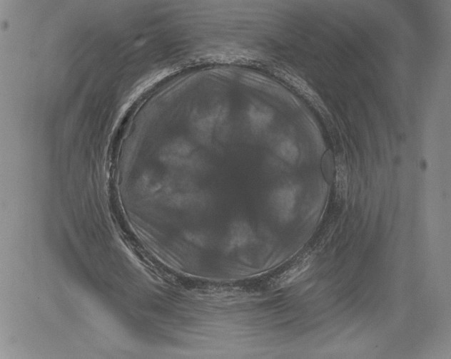 X0000080810626200701051151