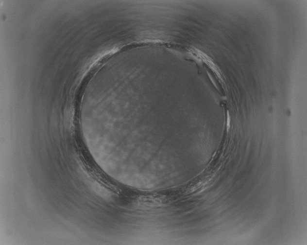 X0000080810627200701051151