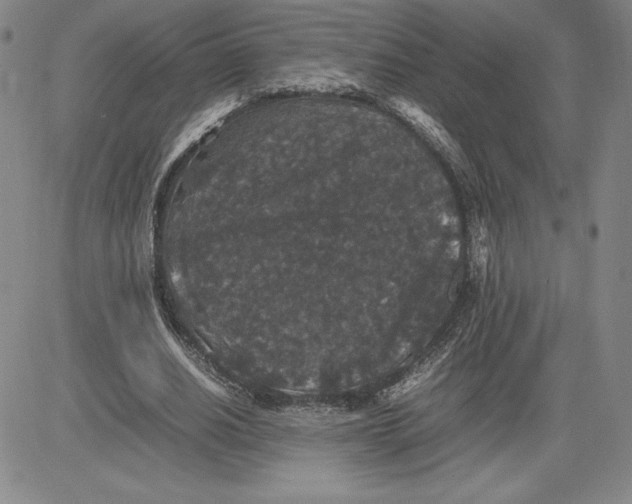 X0000080810630200701051151