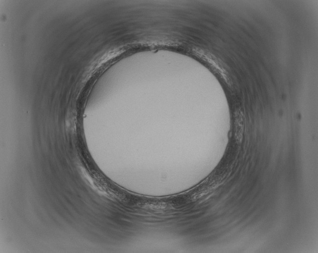 X0000080810631200701051151