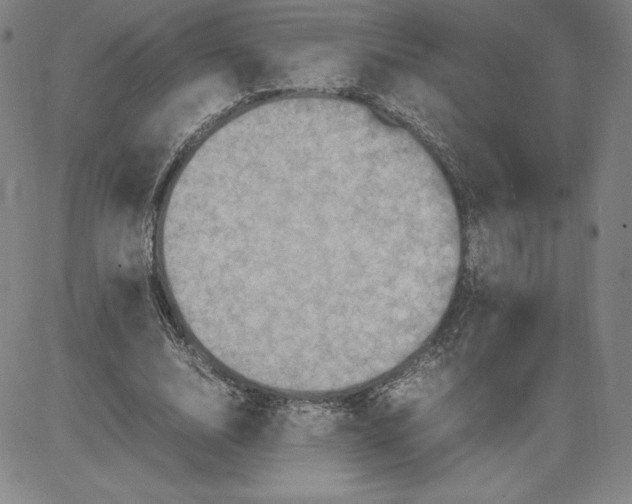 X0000080810632200701051151