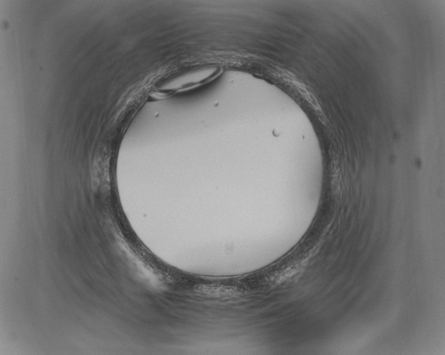 X0000080810633200701051151