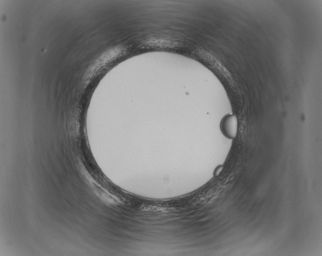 X0000080810635200701051151