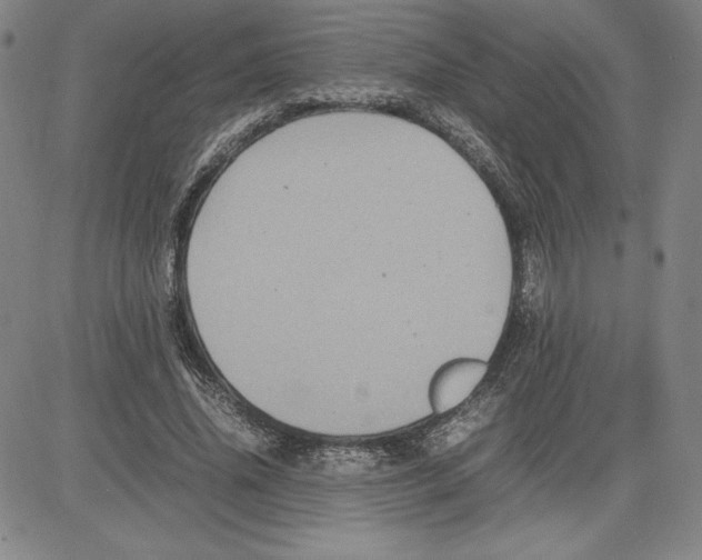 X0000080810636200701051151