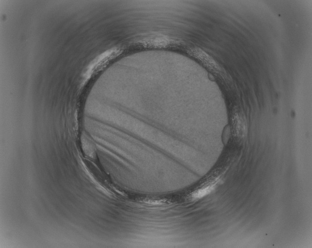 X0000080810638200701051151