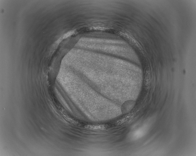 X0000080810639200701051151