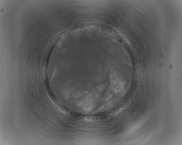 X0000080810641200701051151