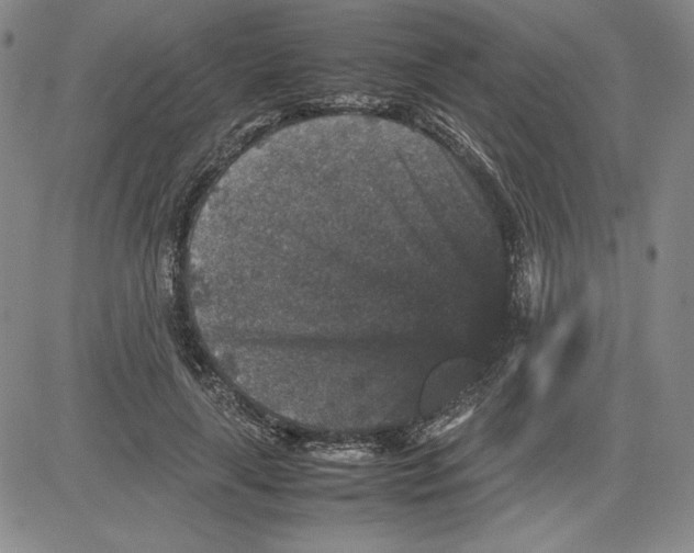 X0000080810643200701051151