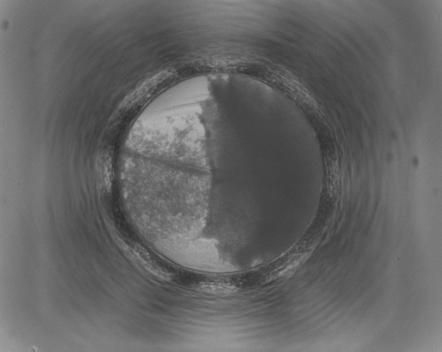 X0000080810644200701051151