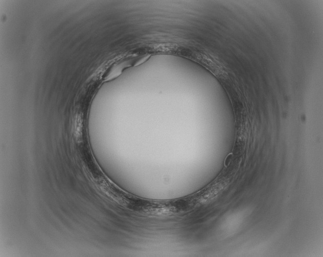 X0000080810646200701051151