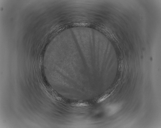 X0000080810647200701051151