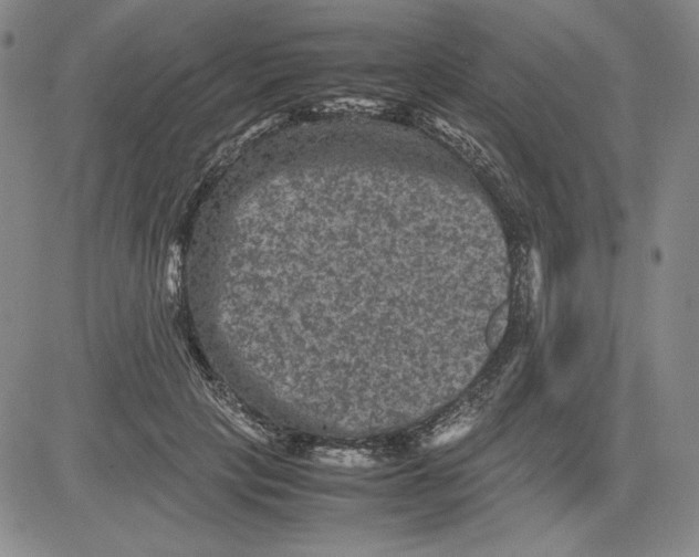 X0000080810649200701051151