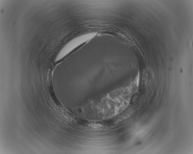 X0000080810650200701051151