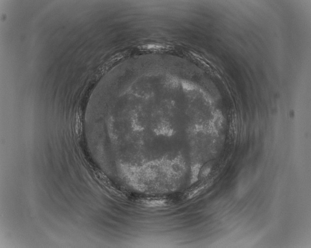 X0000080810651200701051151