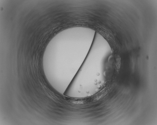 X0000080810653200701051151