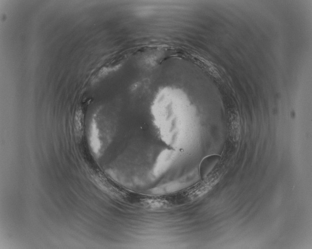 X0000080810654200701051151