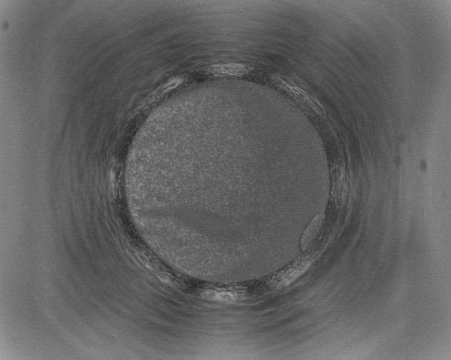 X0000080810655200701051151