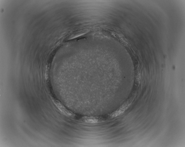 X0000080810658200701051151