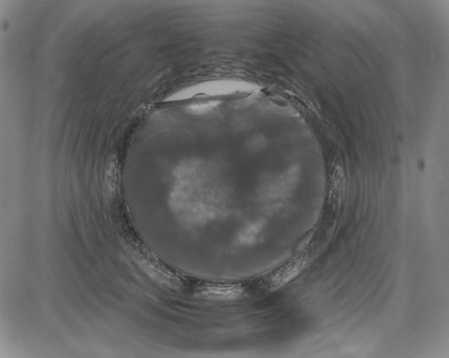 X0000080810659200701051151