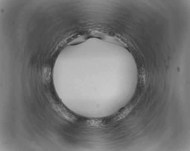 X0000080810660200701051151