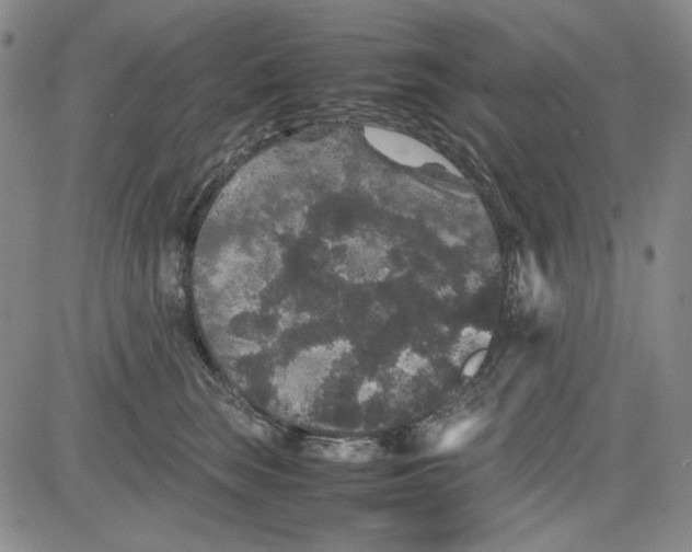 X0000080810663200701051151