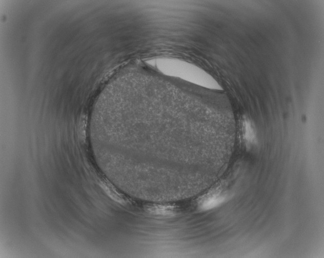 X0000080810664200701051151