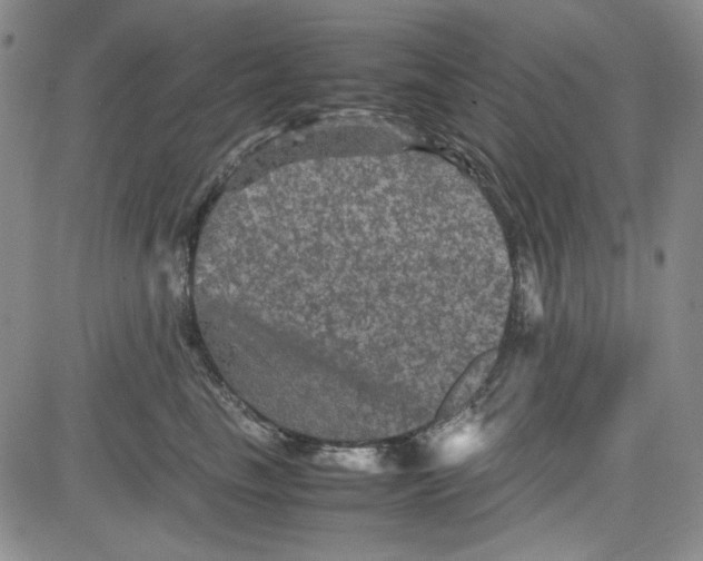 X0000080810665200701051151