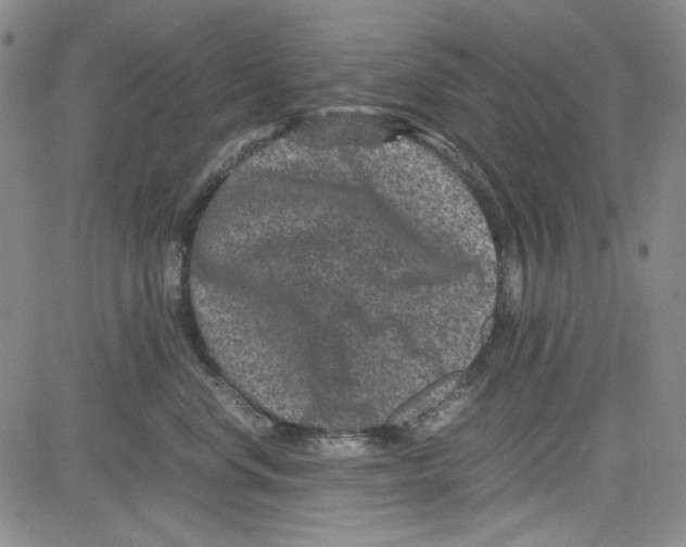 X0000080810668200701051151