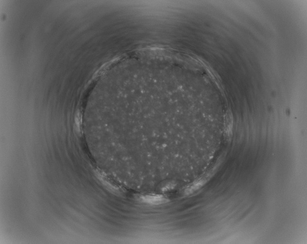 X0000080810669200701051151