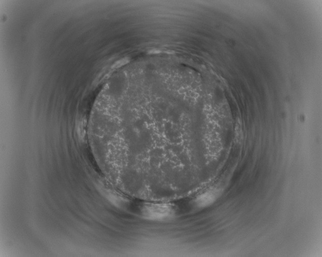 X0000080810671200701051151