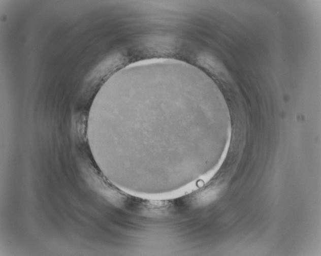 X0000080810672200701051151