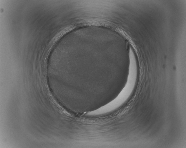 X0000080810673200701051151