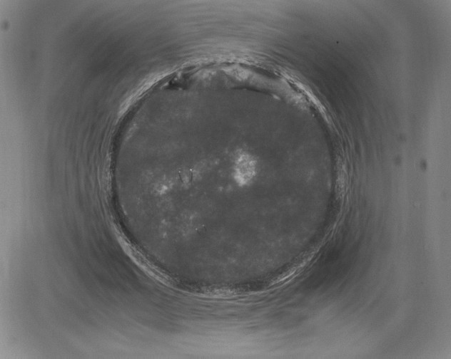 X0000080810677200701051151