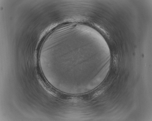 X0000080810678200701051151