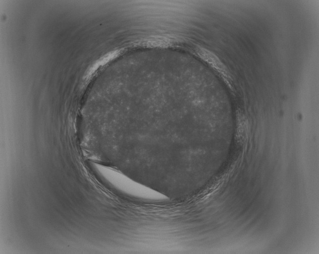 X0000080810681200701051151