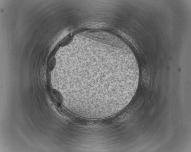 X0000080810682200701051151