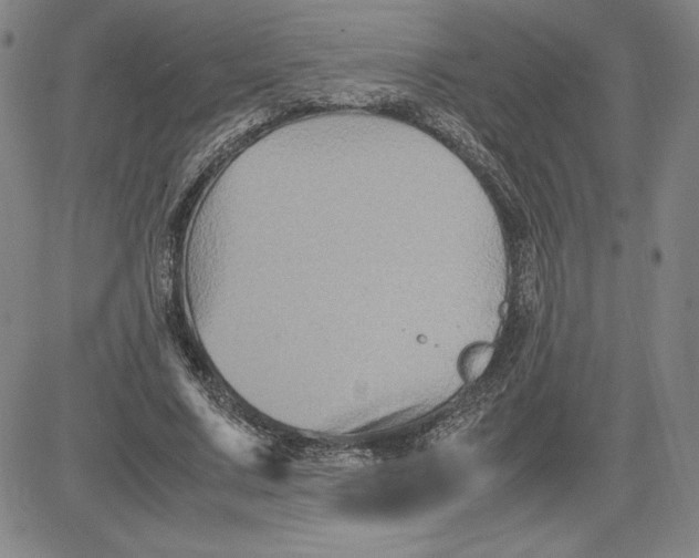 X0000080810683200701051151