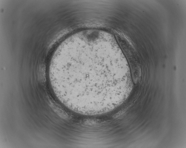 X0000080810684200701051151