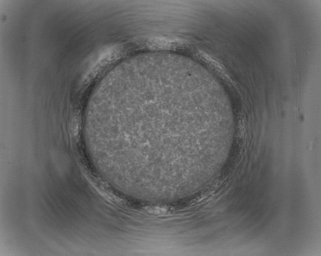 X0000080810687200701051150