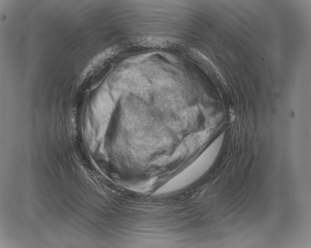 X0000080810688200701051150