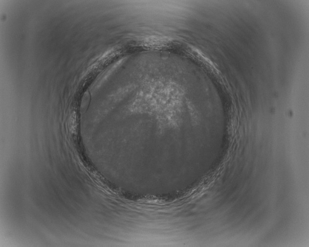 X0000080810689200701051150