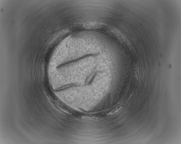 X0000080810690200701051150