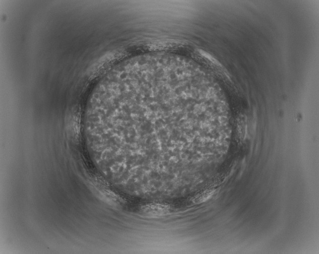 X0000080810691200701051150