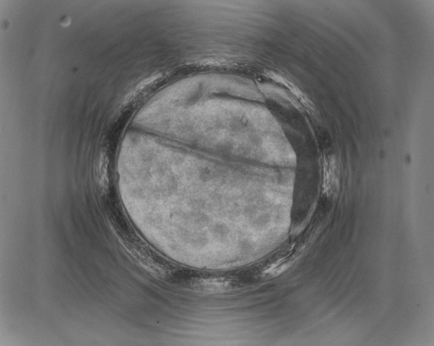 X0000080810692200701051150